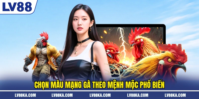 Màu Mạng Gà Đá - LV88 Chia Sẻ Bí Quyết Chọn Chiến Kê 3 Chọn màu mạng gà theo mệnh mộc phổ biến