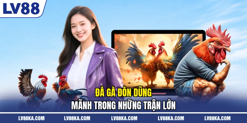 Đá Gà Đòn Thomo - Hình Thức Giải Trí Đỉnh Cao Năm 2026 3 Đá gà đòn dũng mãnh trong những trận lớn