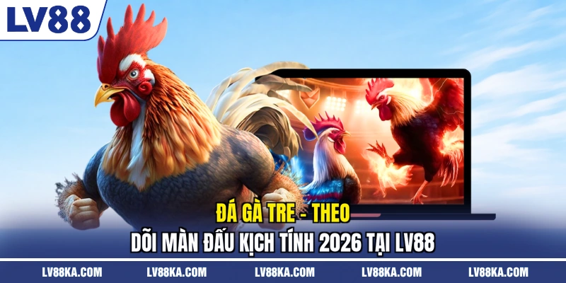 Đá Gà Tre - Theo Dõi Màn Đấu Kịch Tính 2026 Tại LV88