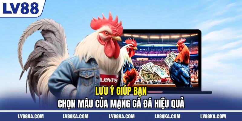 Màu Mạng Gà Đá - LV88 Chia Sẻ Bí Quyết Chọn Chiến Kê 4 Lưu ý giúp bạn chọn màu của mạng gà đá hiệu quả