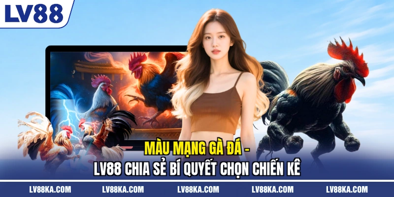 Màu Mạng Gà Đá - LV88 Chia Sẻ Bí Quyết Chọn Chiến Kê 1 Màu Mạng Gà Đá - LV88 Chia Sẻ Bí Quyết Chọn Chiến Kê