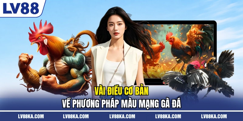 Màu Mạng Gà Đá - LV88 Chia Sẻ Bí Quyết Chọn Chiến Kê 2 Vài điều cơ bản về phương pháp màu mạng gà đá
